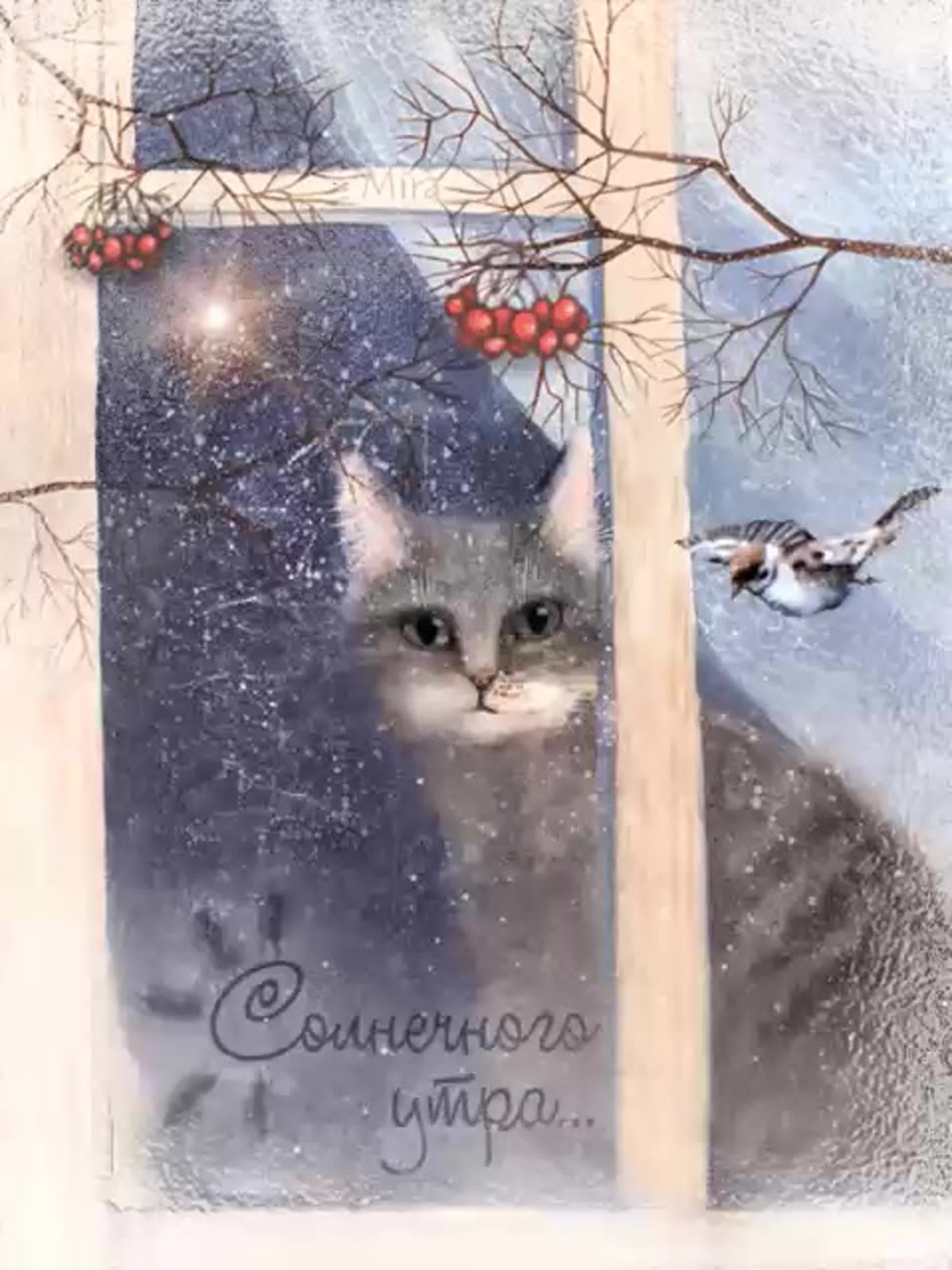 Доброе Снежное утро с котиками