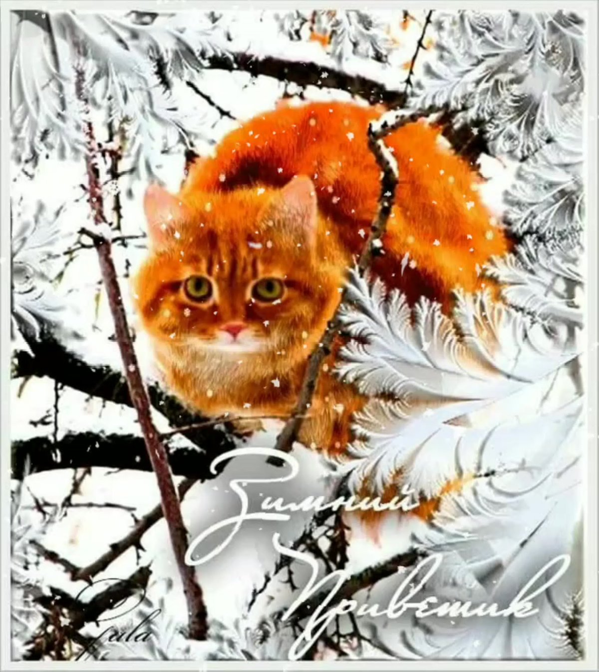 Зимний морозный приветик