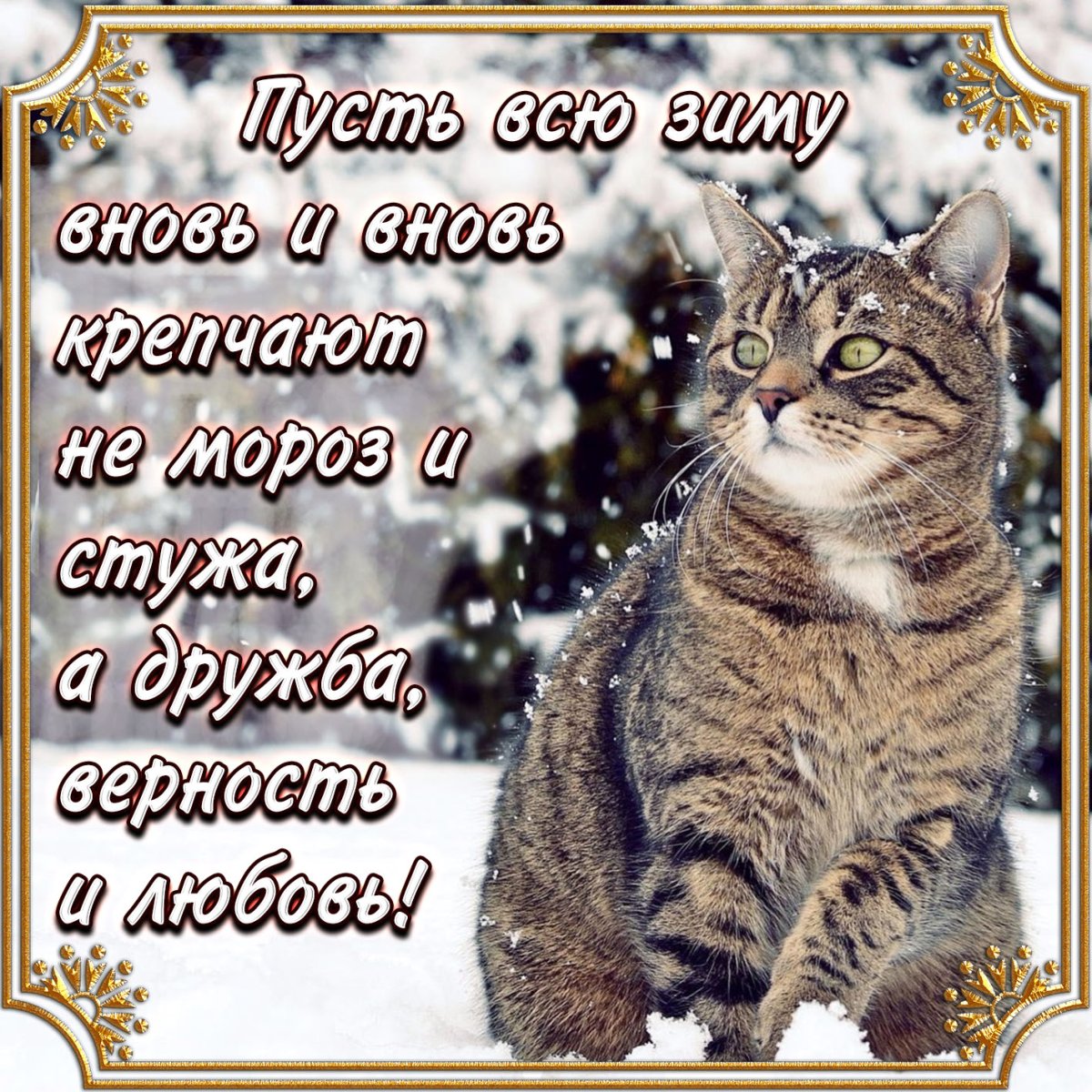 Зима пожелания