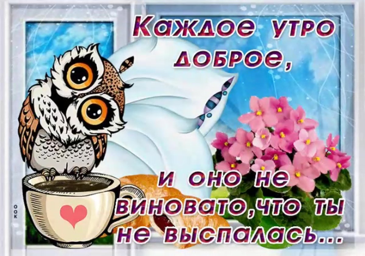 Выспались доброе утро