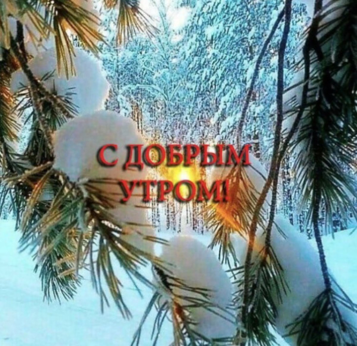 С добрым декабрьским утром