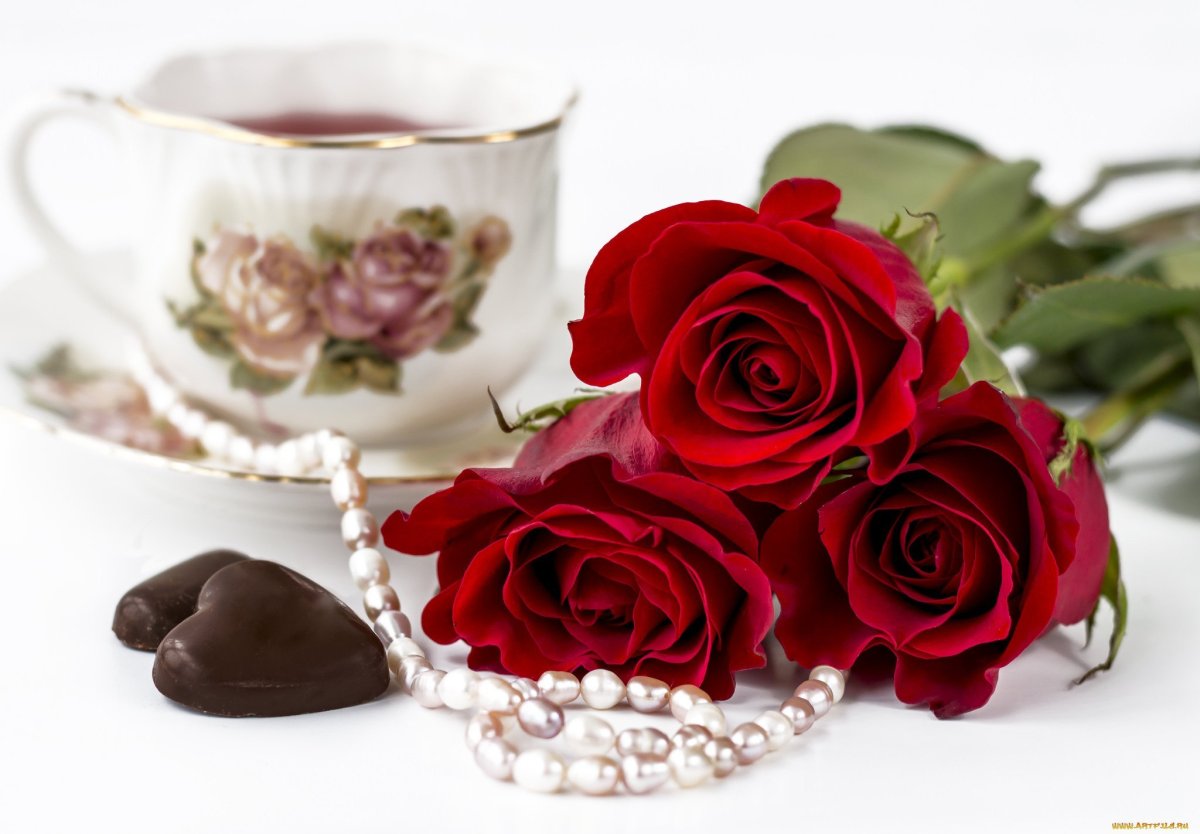 Розы в чашке