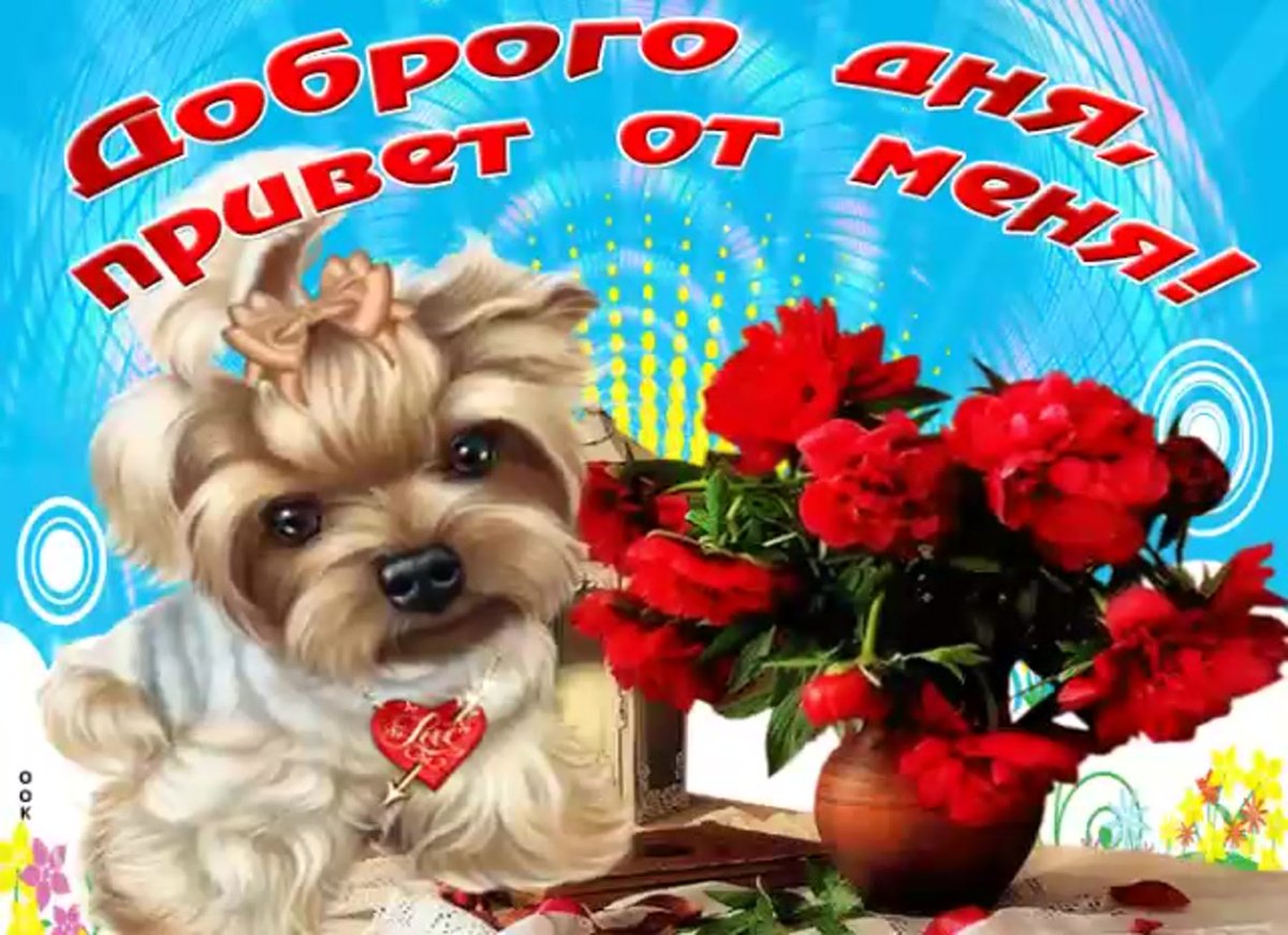 Доброго дня и приветик от меня