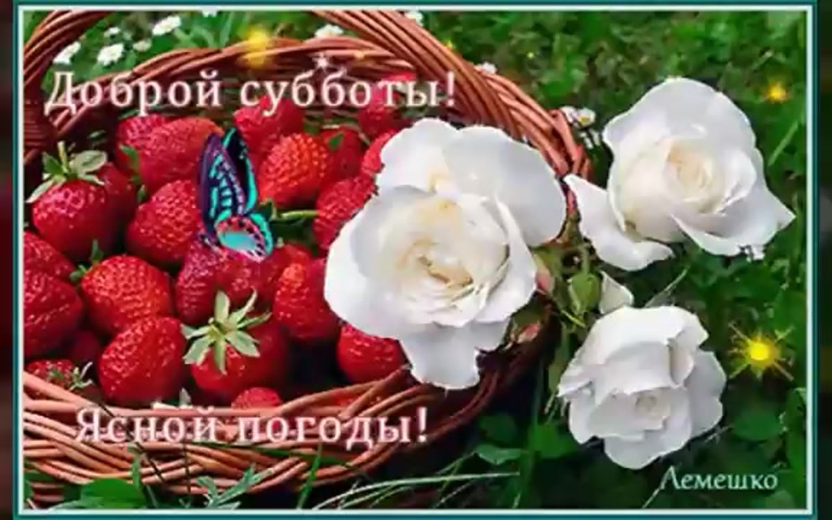 Прекрасного летнего субботнего дня