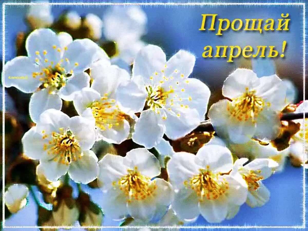 Открытки с последним днем апреля