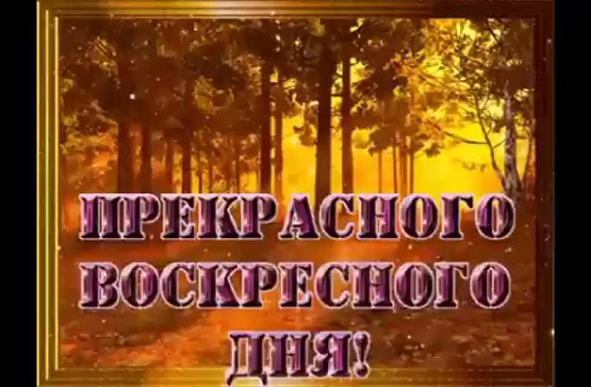 Открытки хорошего воскресного дня прикольные