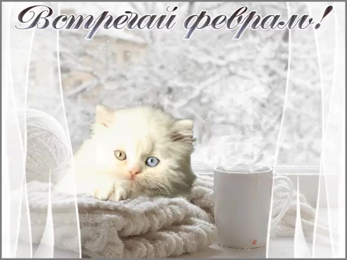 Открытки с добрым февральским утром