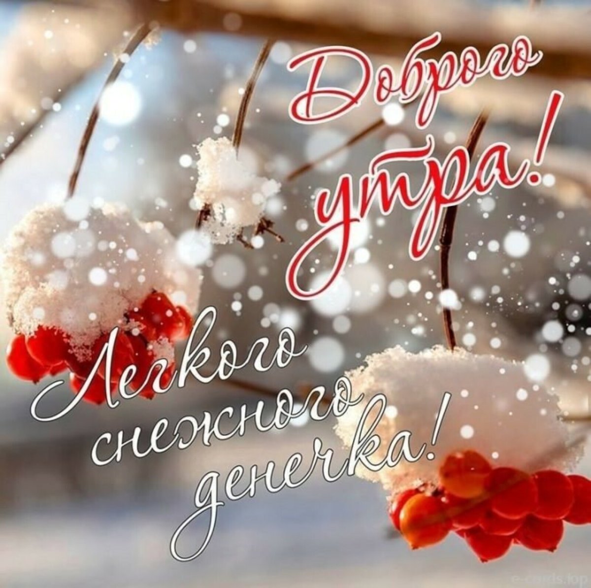 Зимние поздравления