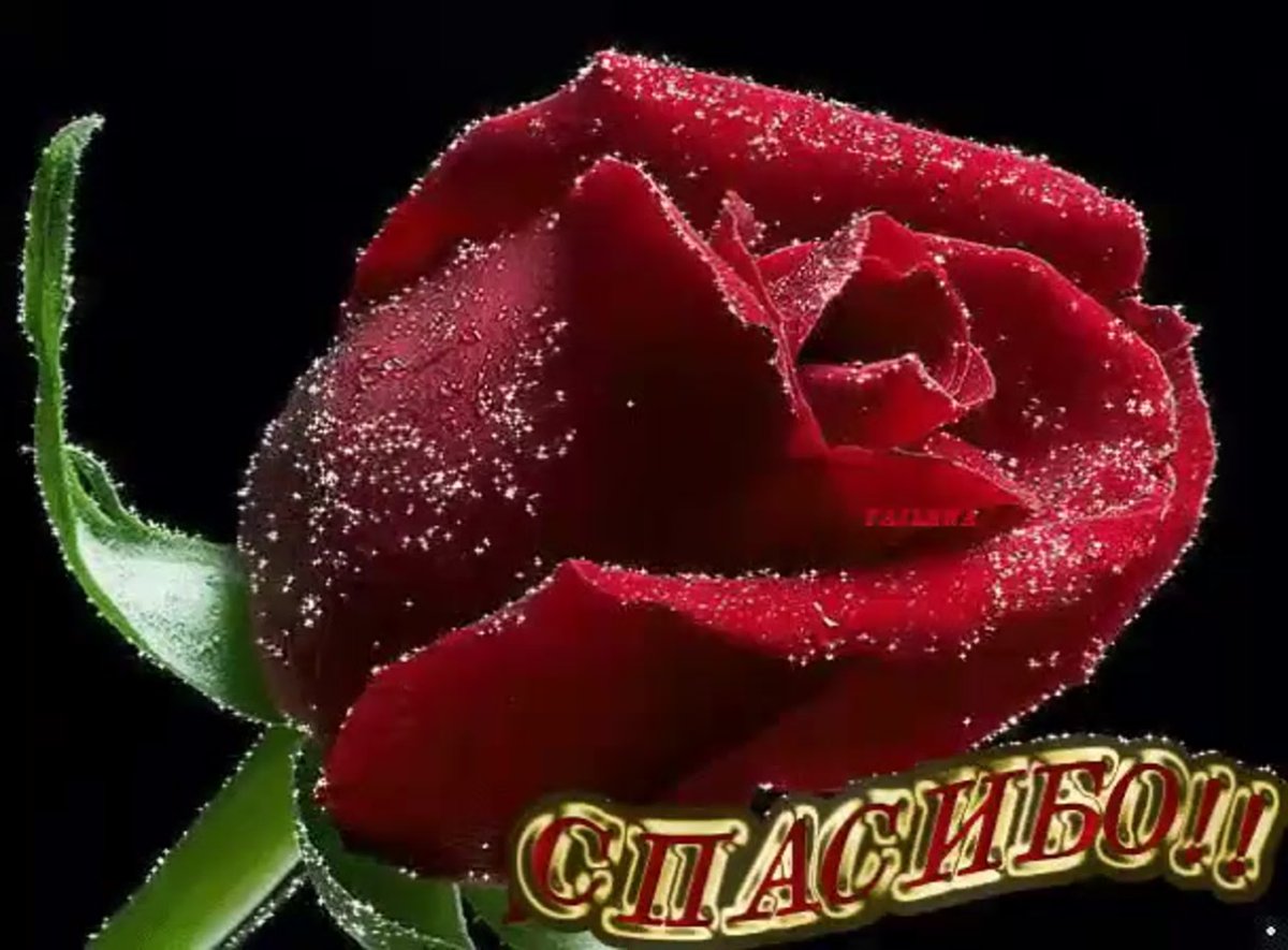 Спасибо открытка мерцающая