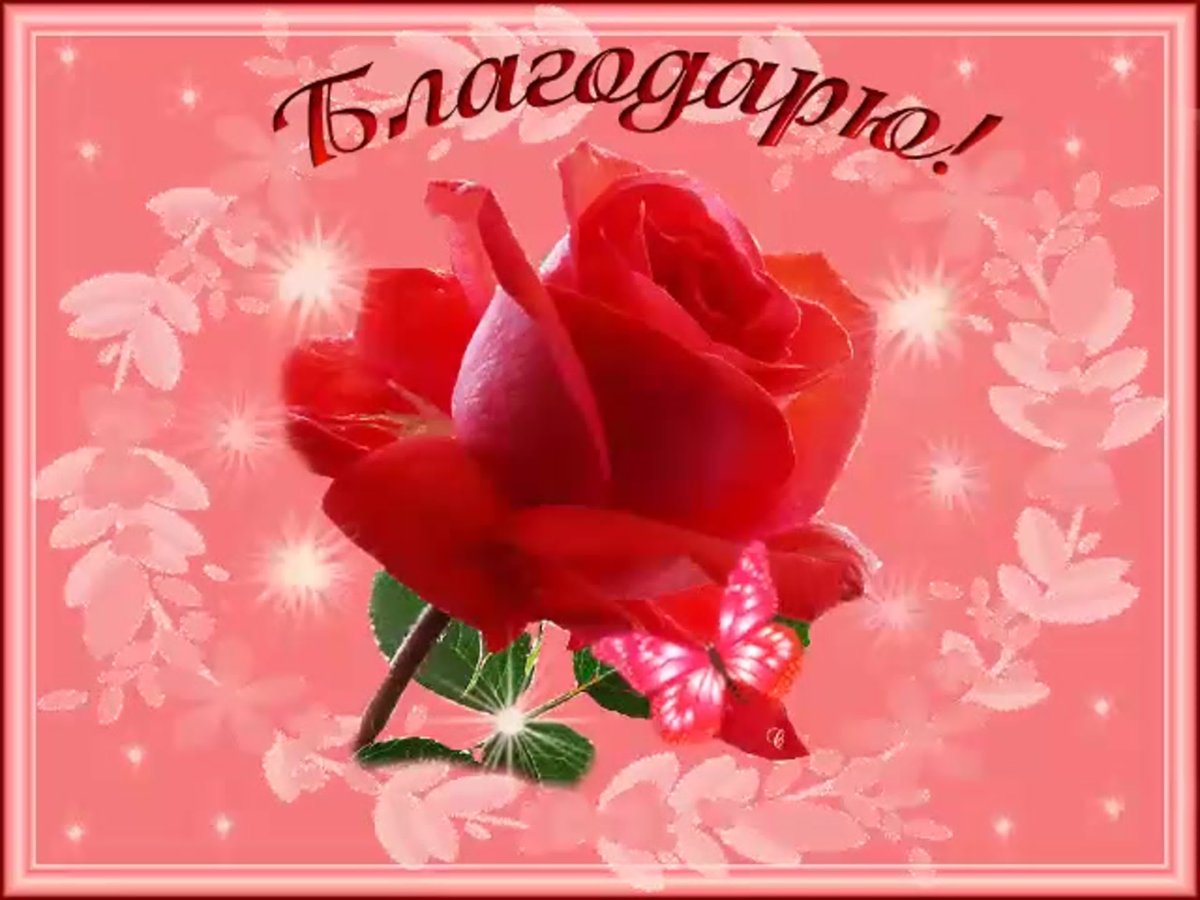 Анатолий большое спасибо открытку