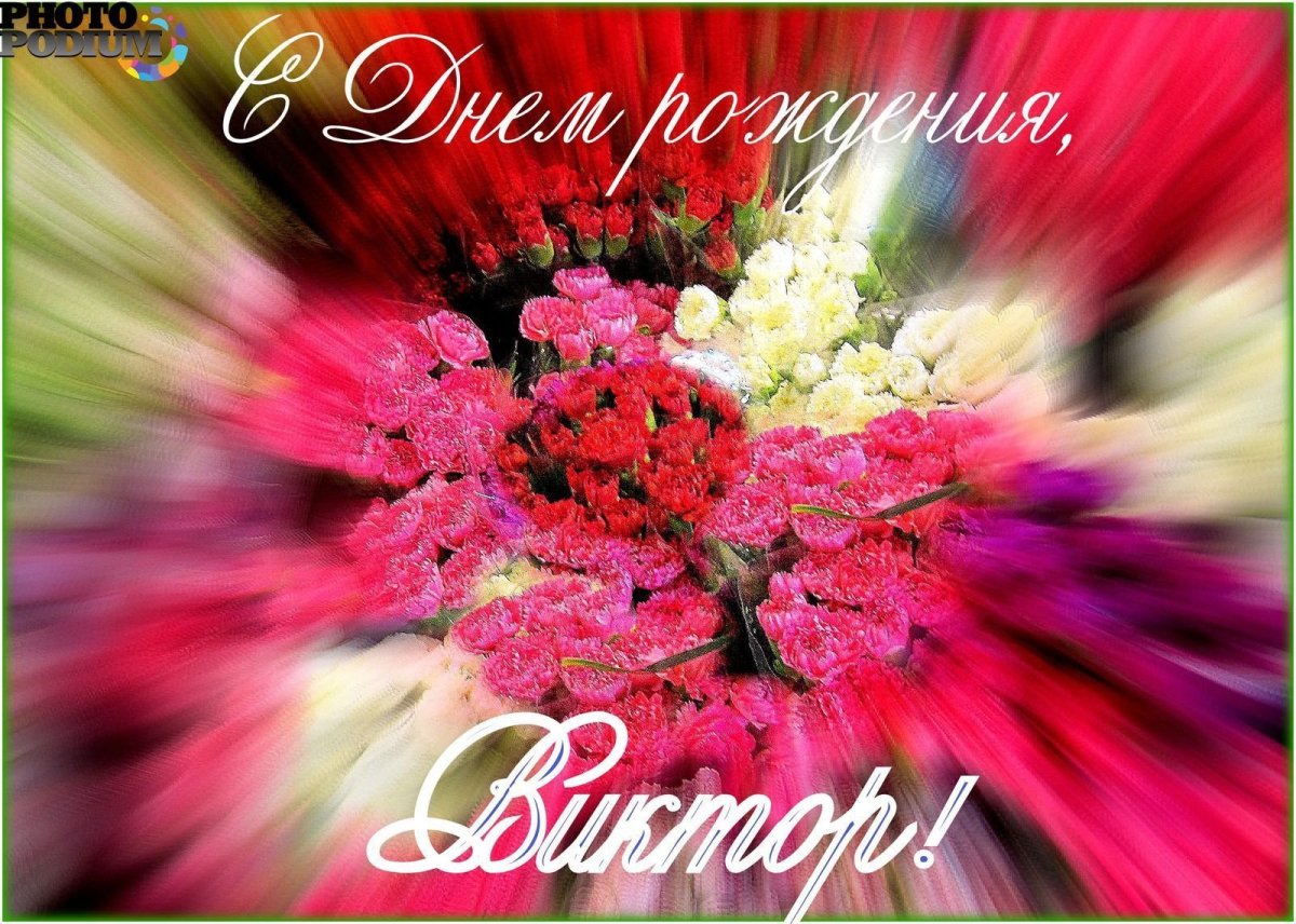 Джек-Рассел-терьер в очках