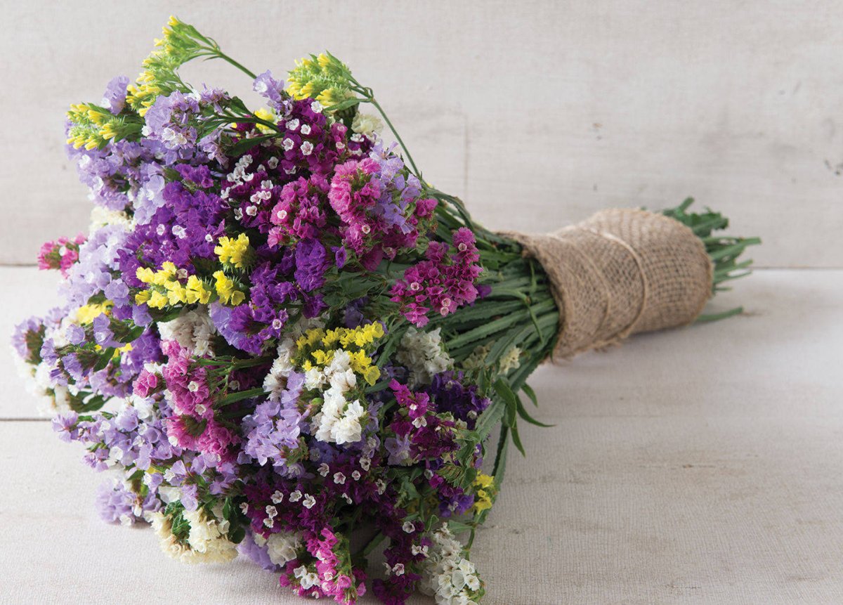 Статица и Хризантема букет