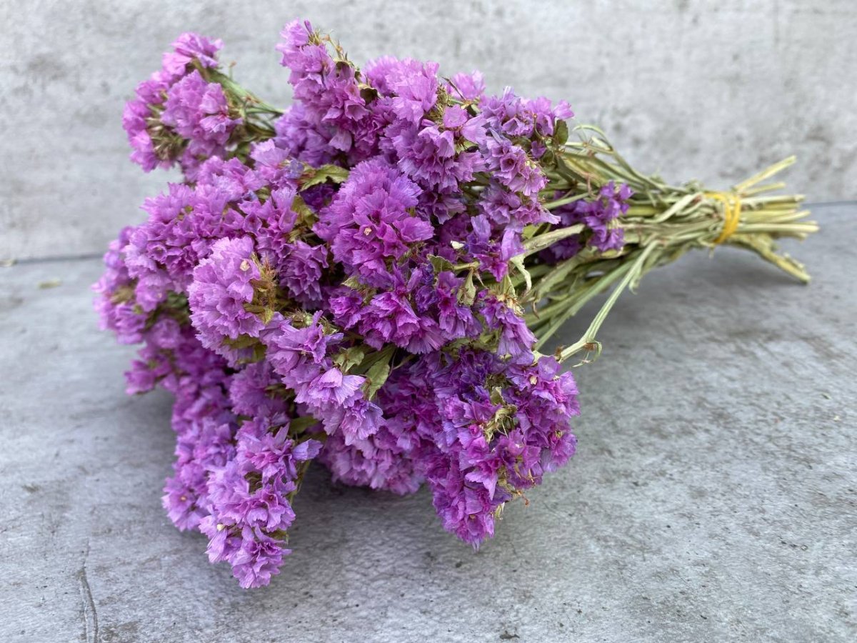 Букеты из статицы сухоцветы