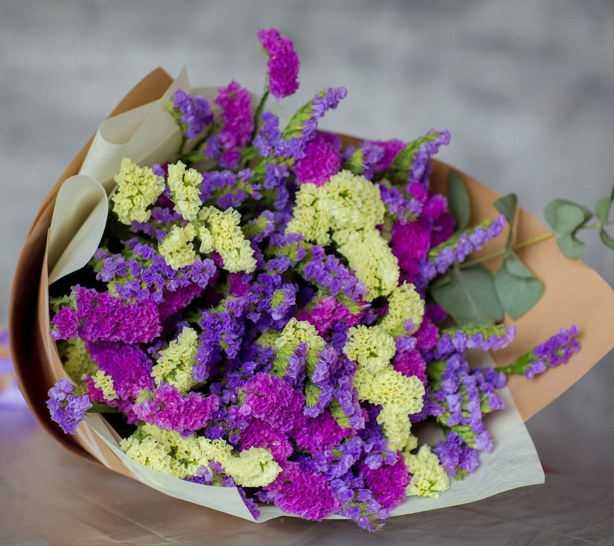 Лимониум цветок