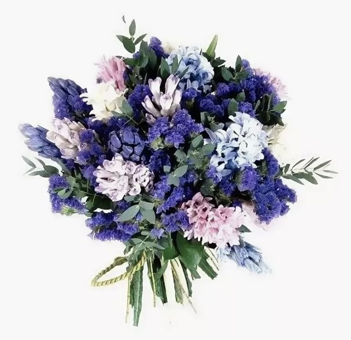 Сухоцветы кермек лимониум