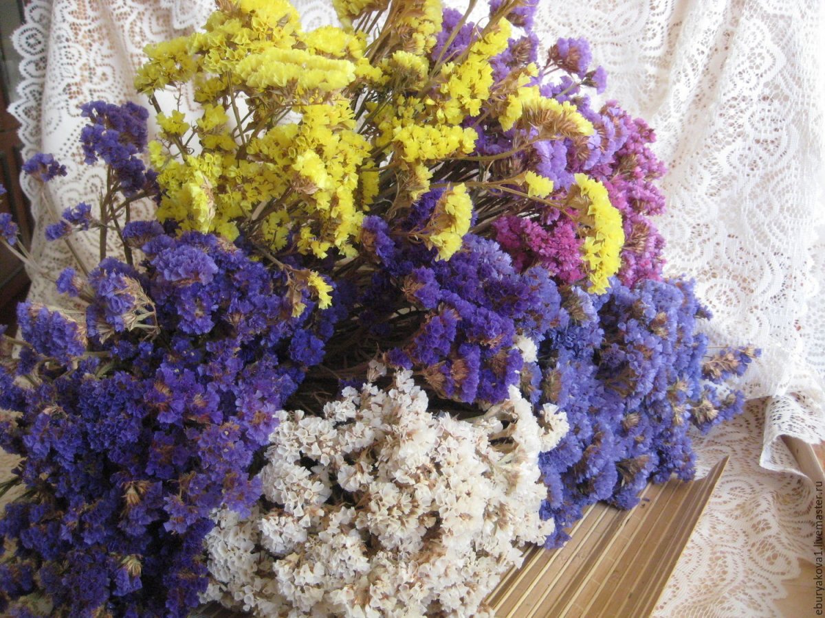 Сухоцветы кермек лимониум