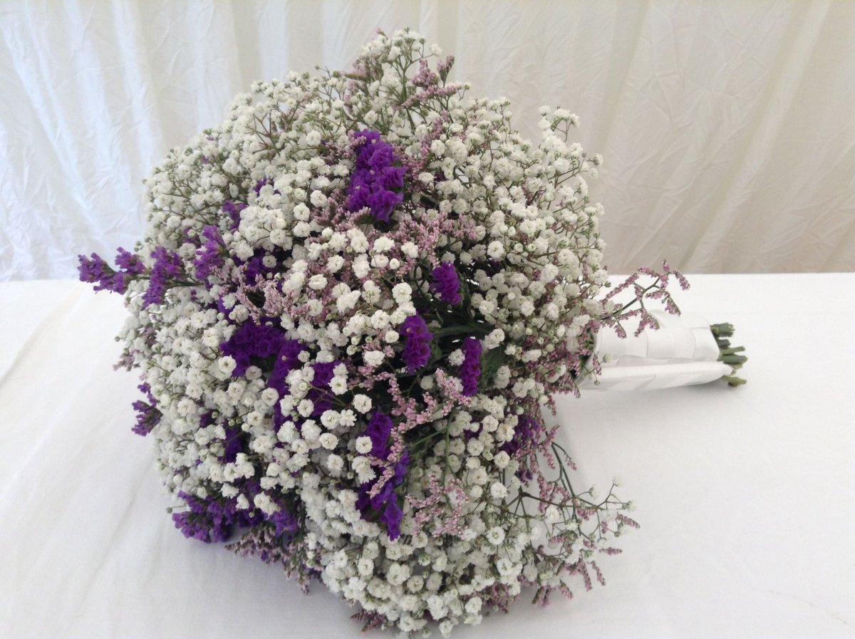 Статица микс Голландия