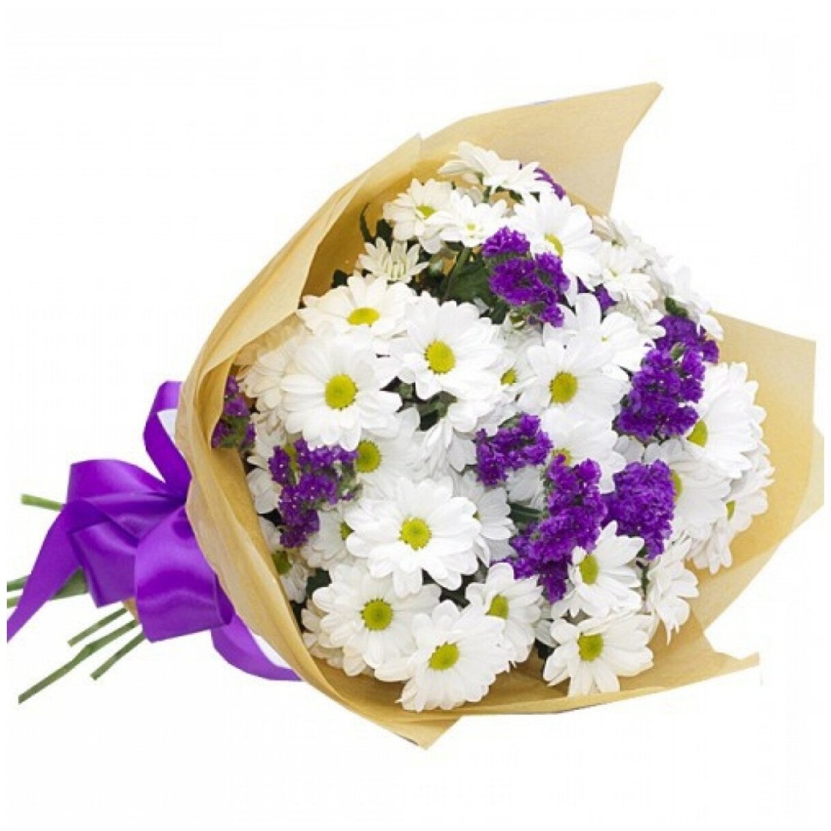 Гипсофила Рейнбоу сиреневые