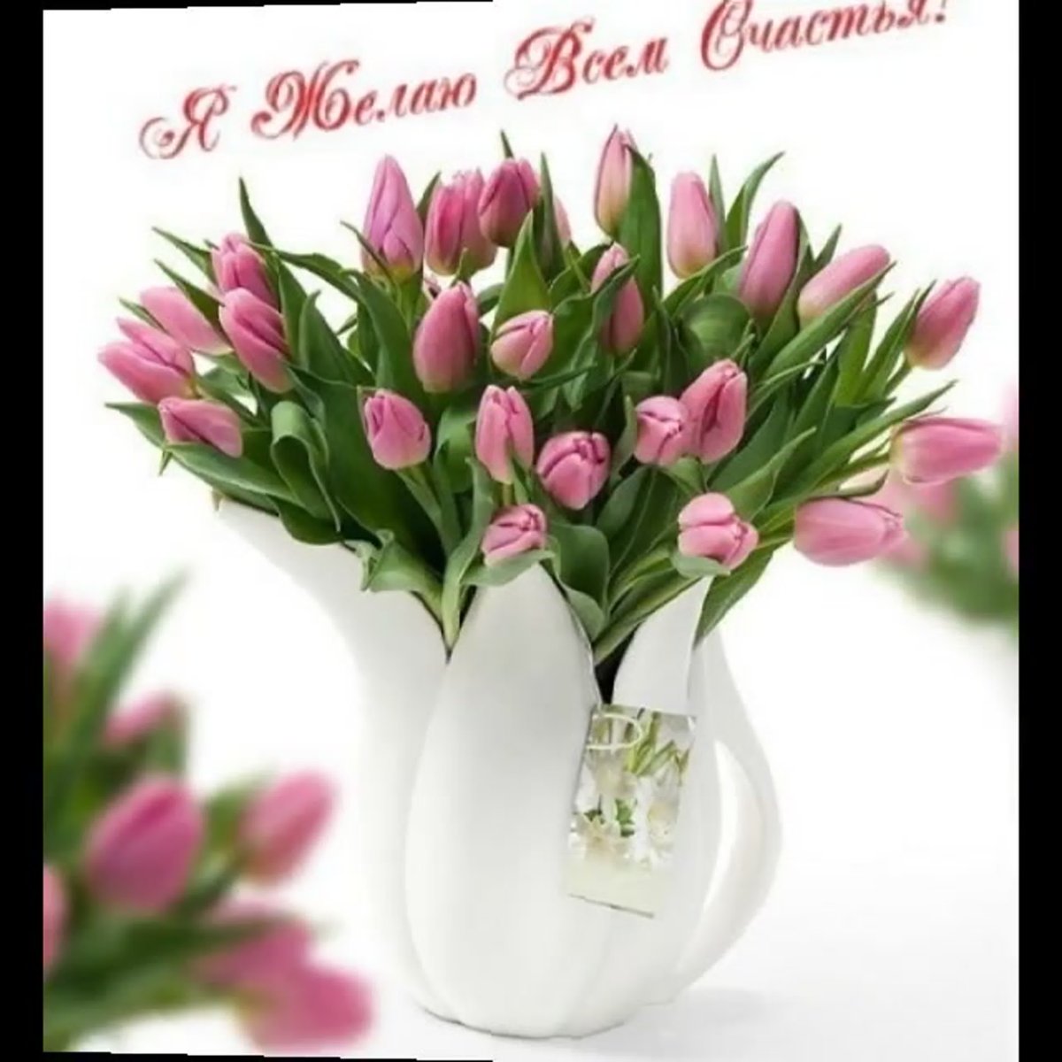 Тюльпаны для вас