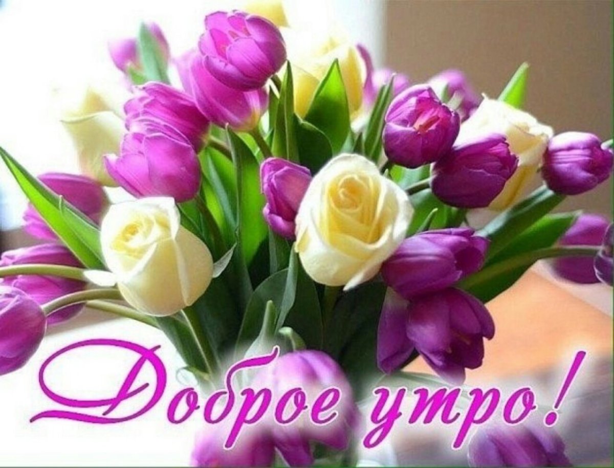 Доброе утро букет тюльпанов