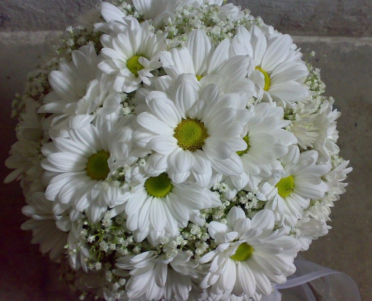 Букет невесты хризантемы и гипсофила