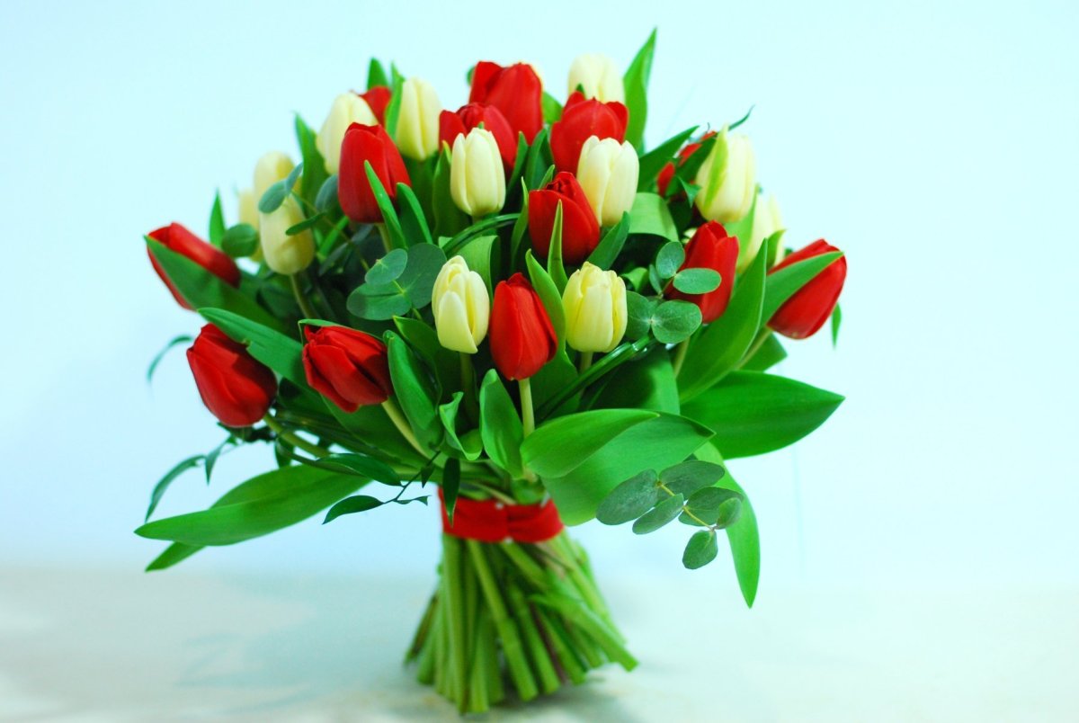 Букетище тюльпанов