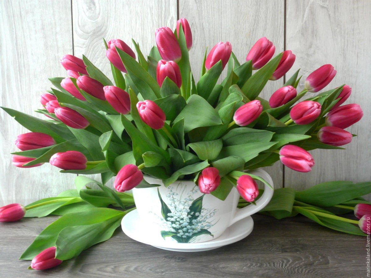 Нежные тюльпаны