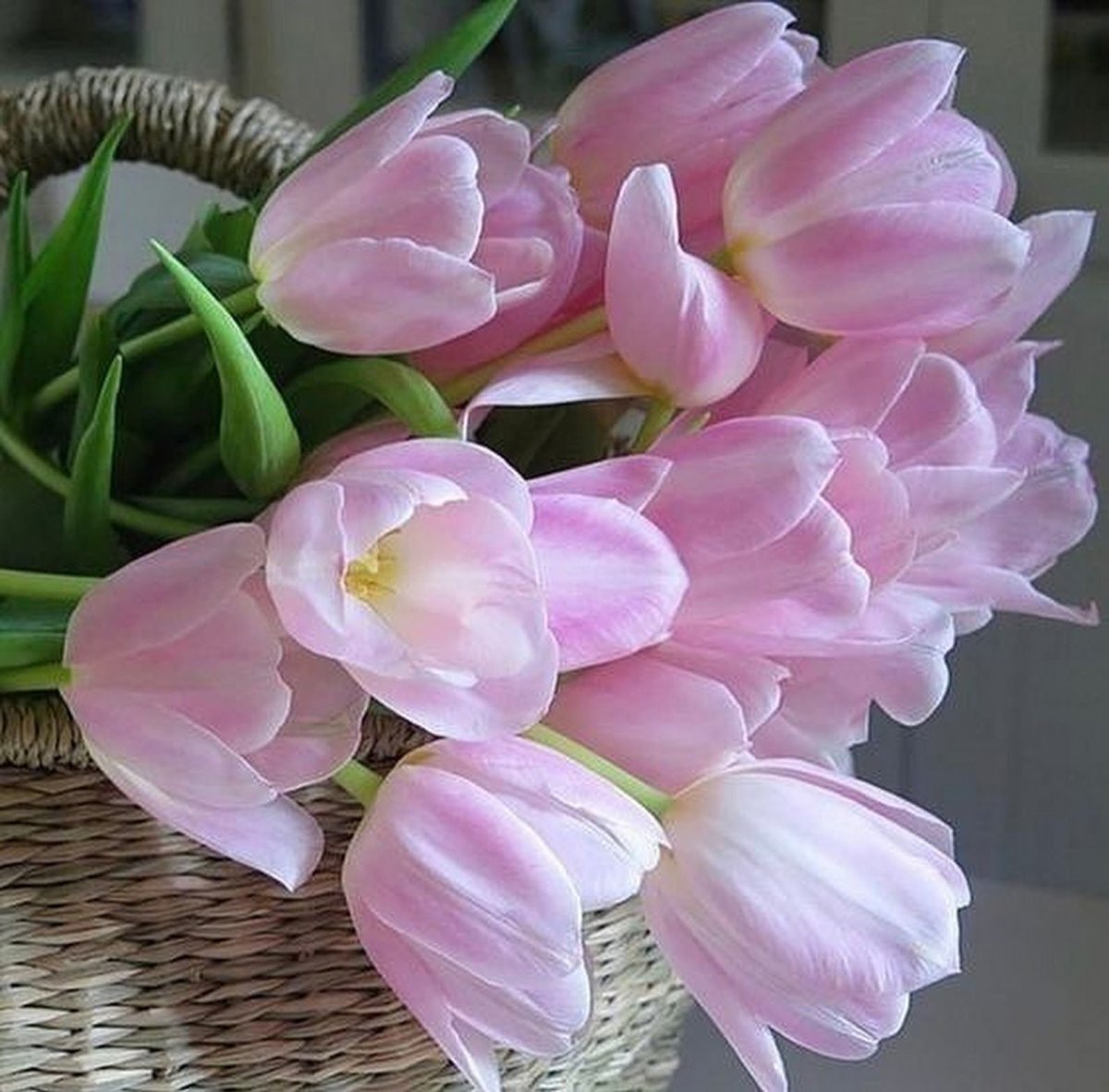 Букет из весенних цветов