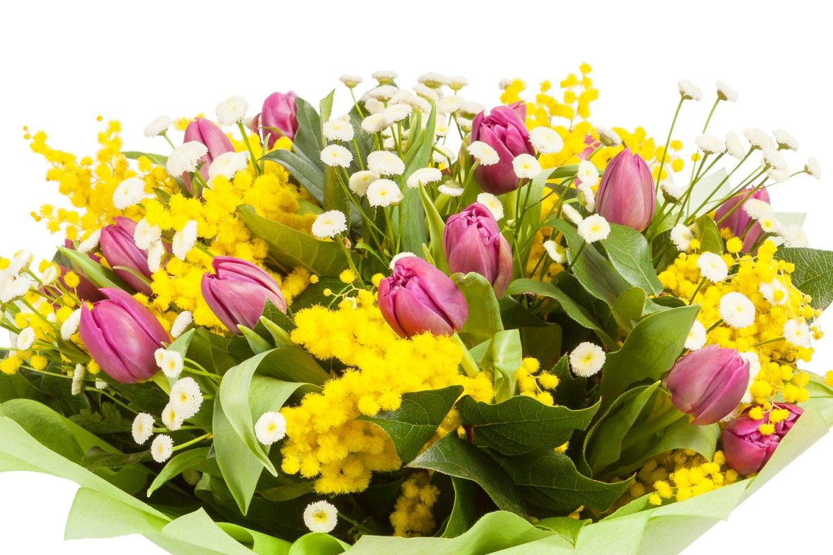 Букет 51 тюльпан микс