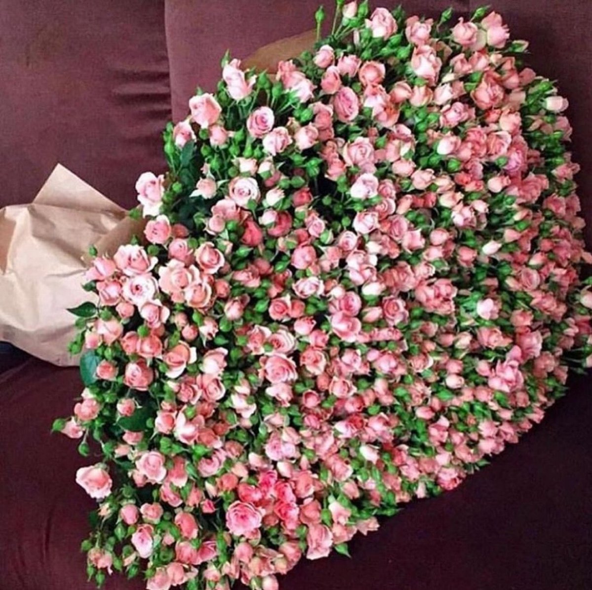 Гипсофила розовая