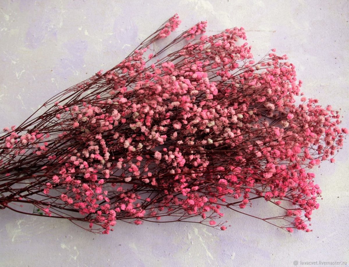 Маленькие розы