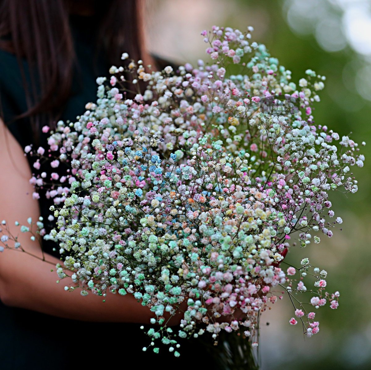 Мелкие розы