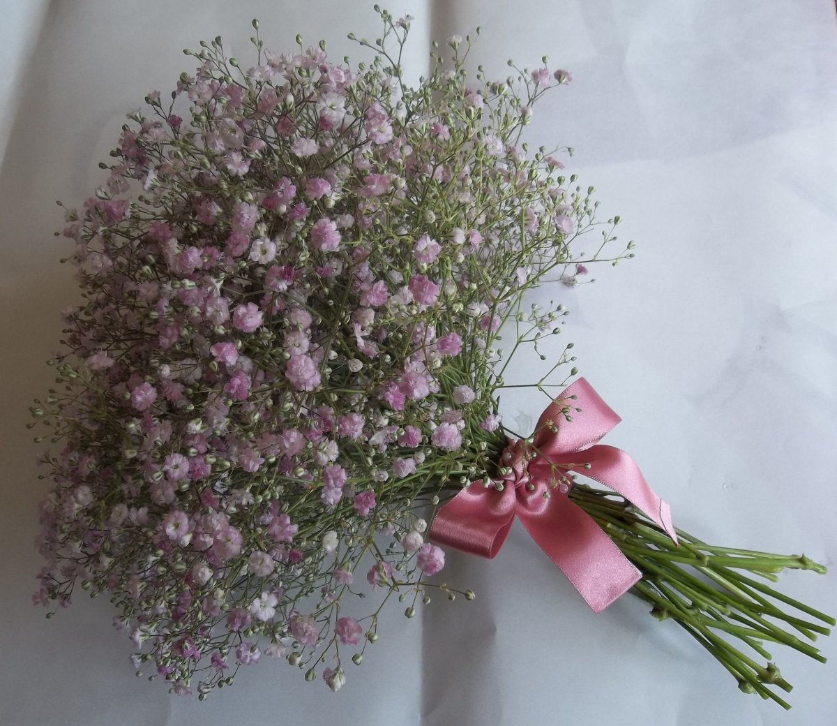 Гипсофила метельчатая Роуз