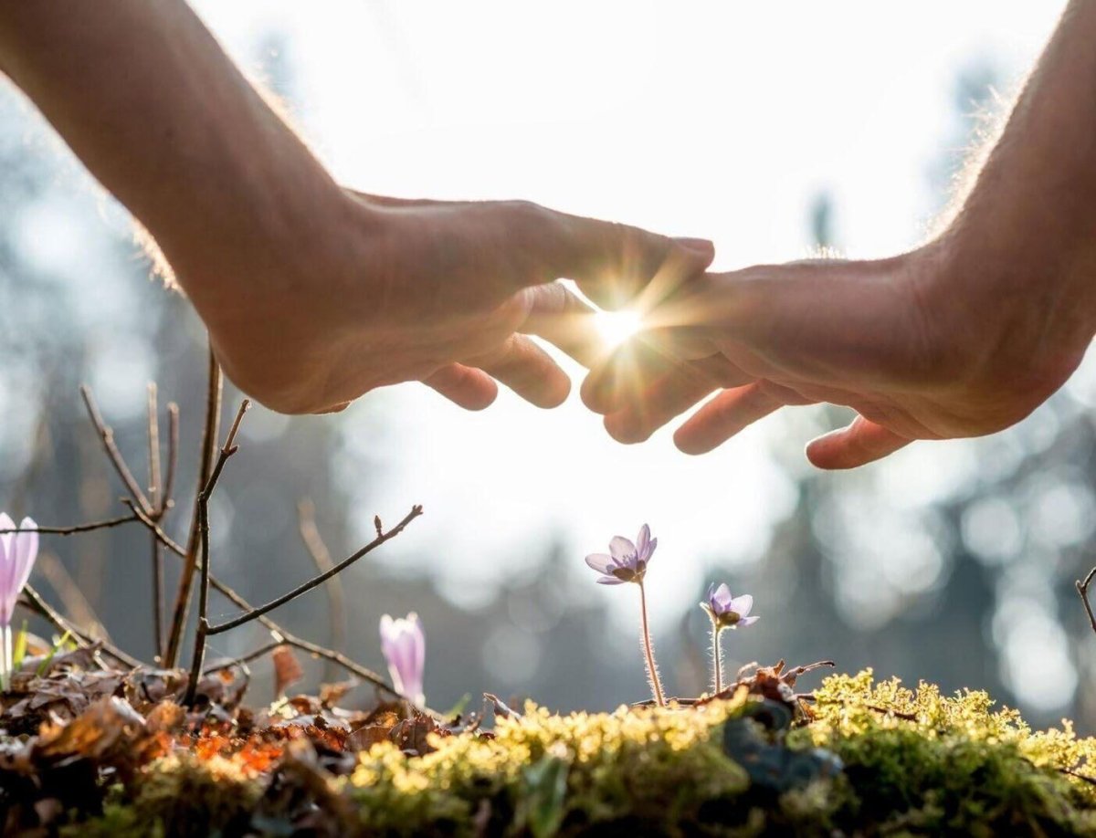 Прикосновение природы