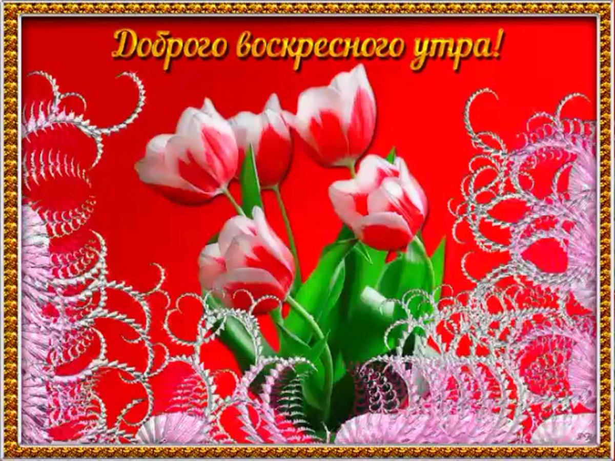 Доброго воскресного утра и хорошего настроения