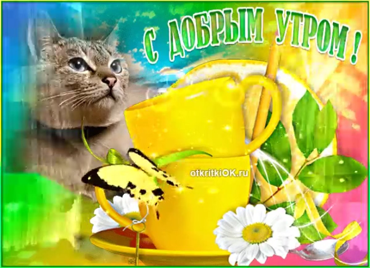 Картинки с добрым утром зимние прикольные воскресенье