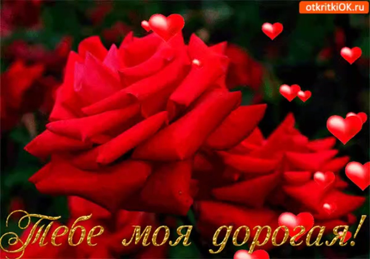 Цветы для любимых и родных