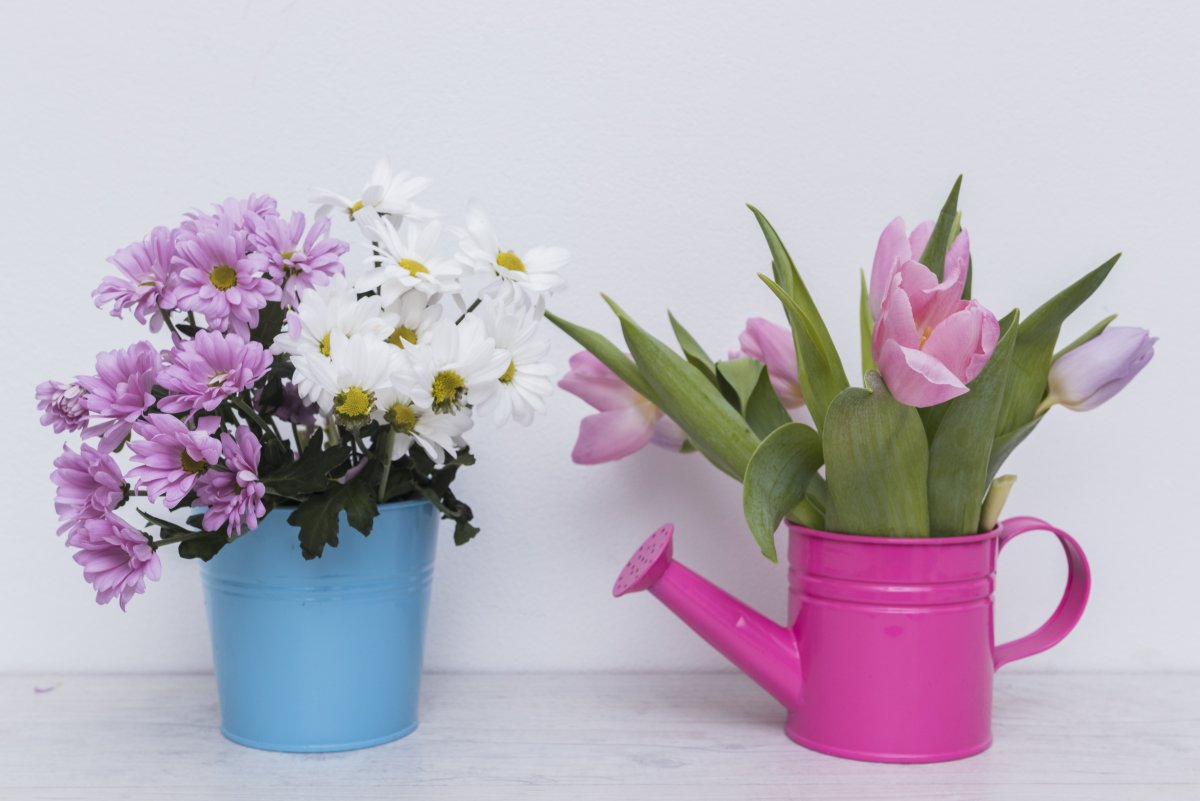 Весенние цветы в лейке