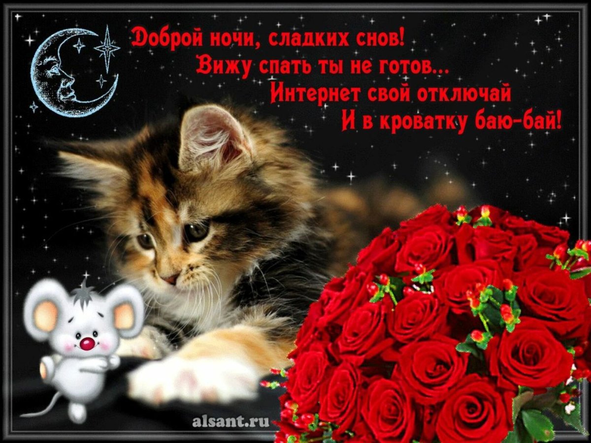 Открыточки спокойной ночи