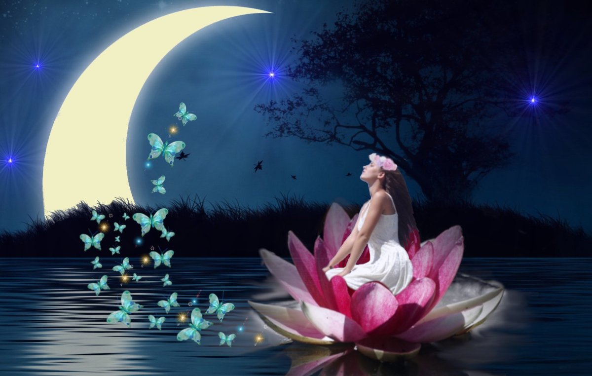 Открытки спокойной ночи с цветами