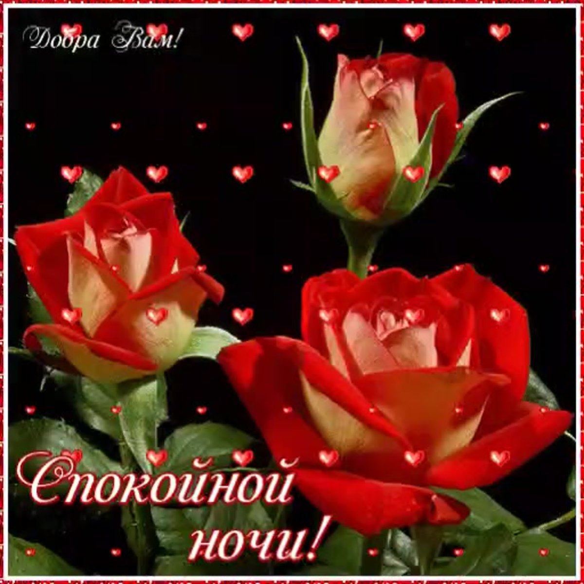 Сверкающие спокойной ночи