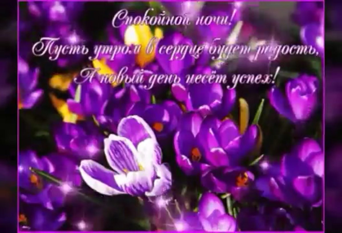 Прекрасных снов