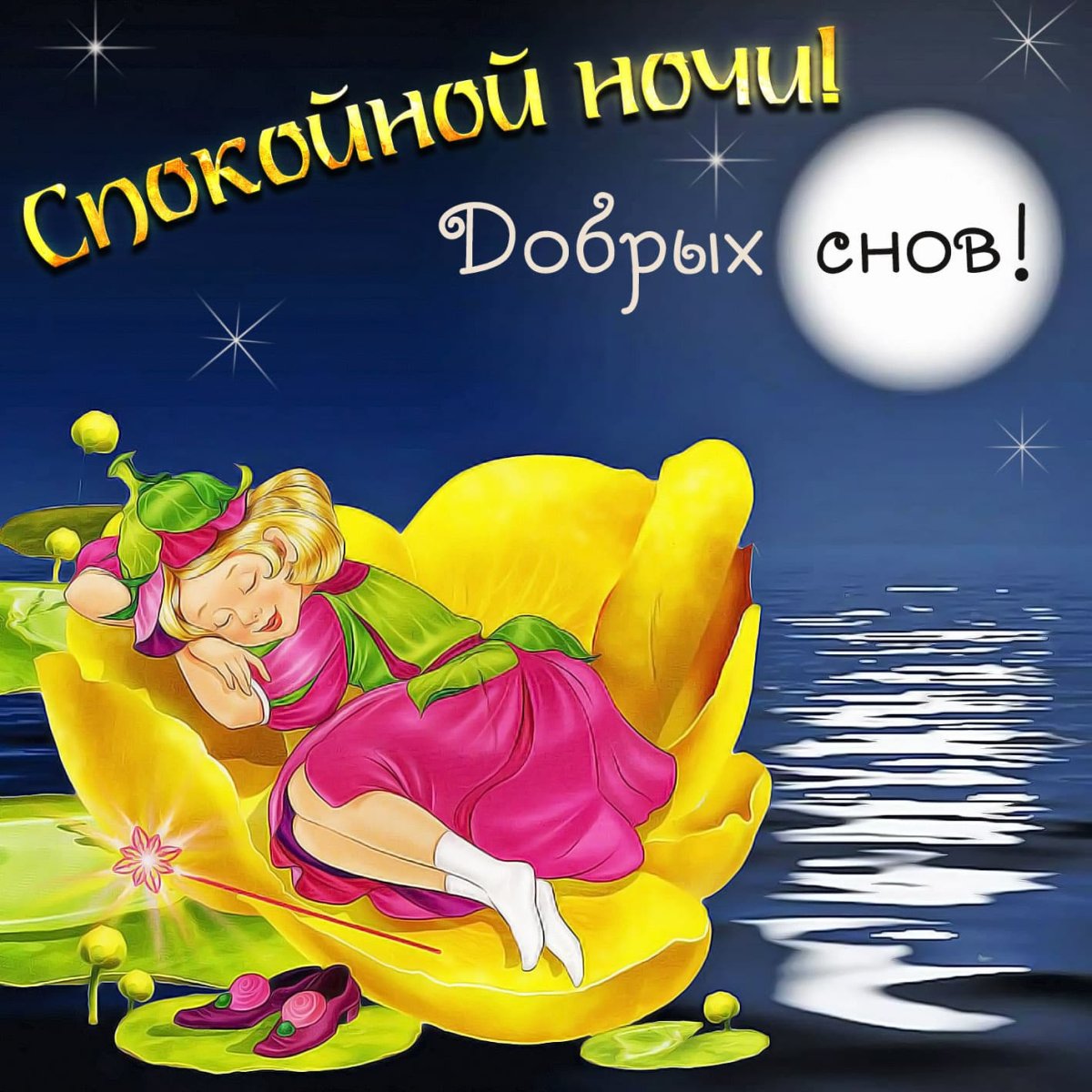 Доброй ночи