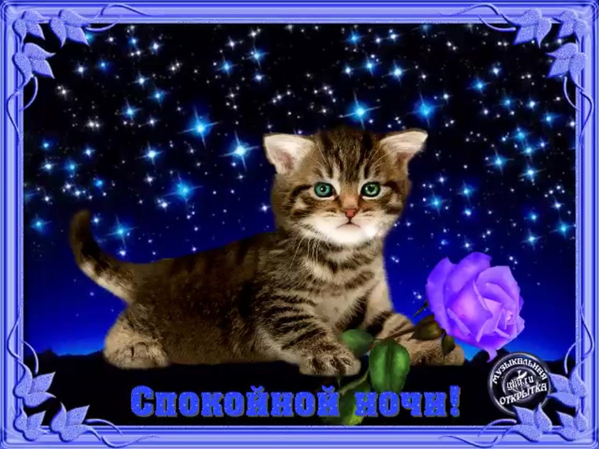 Открытки спокойной ночи