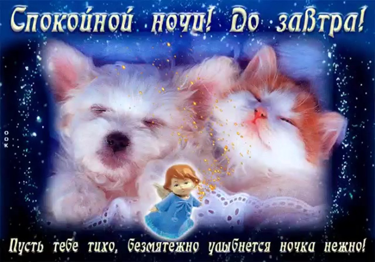 Приятных снов гиф