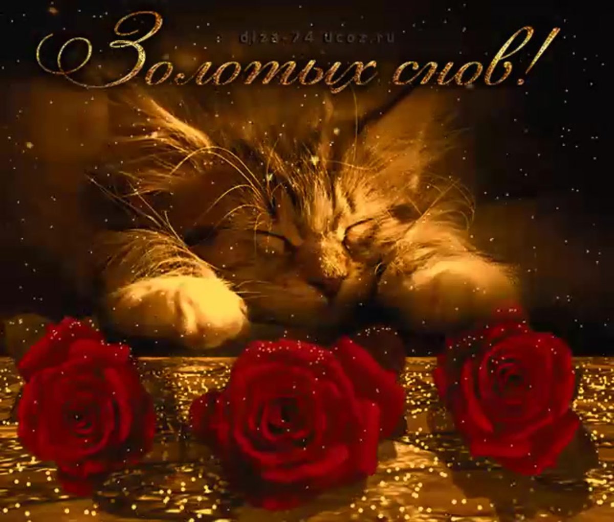 Пожелания спокойной но