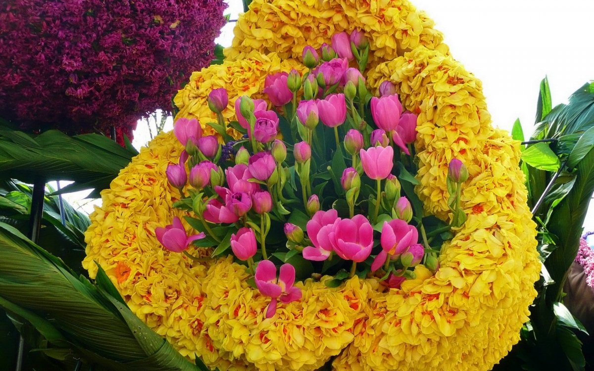 Самый красивый букет в мире