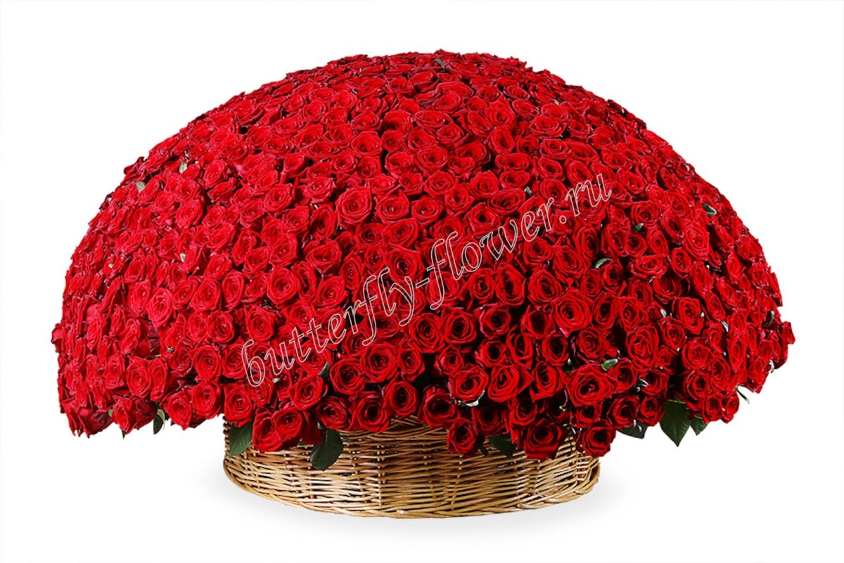 Огромный букет