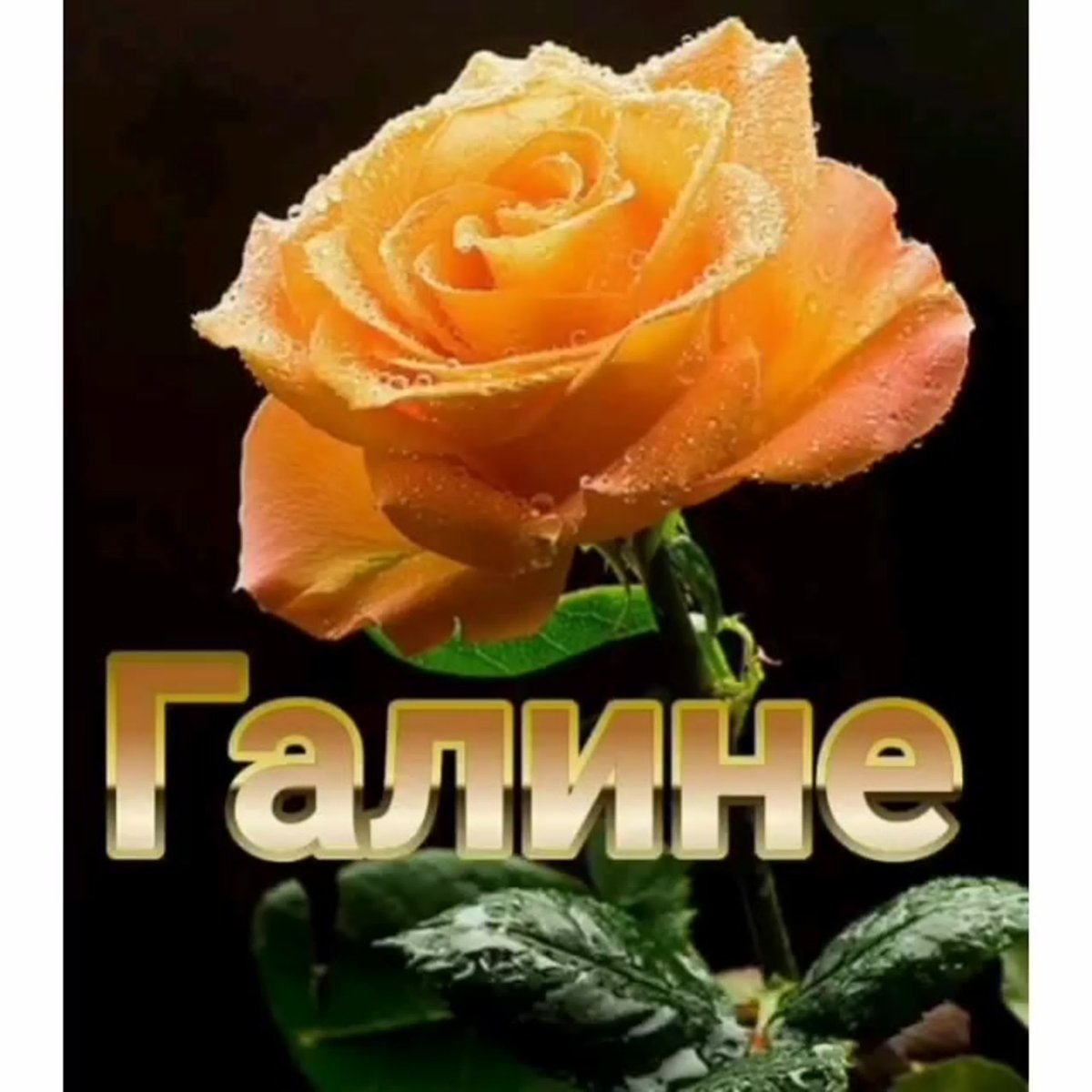 Галина Михайловна с днем рождения