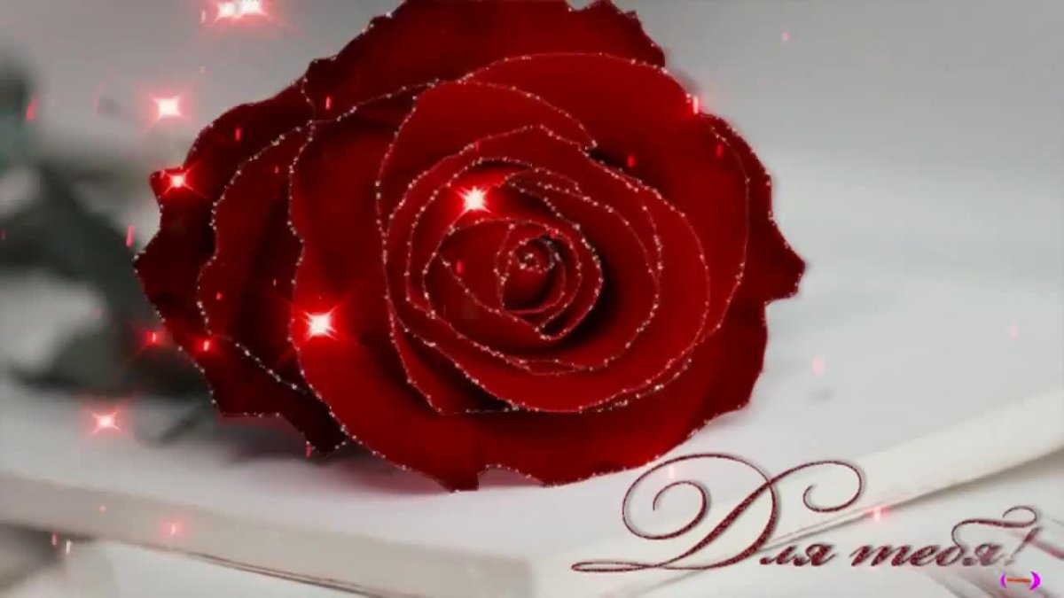 Розы для тебя